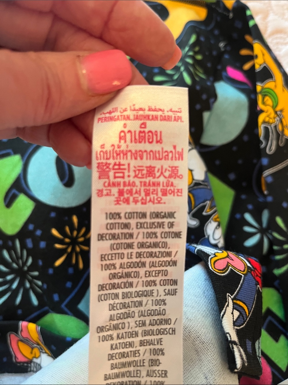 NWT Disneyland Resort Character 2025 Sweatshirt - Picture 7 of 7